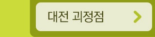 대전 괴정점
